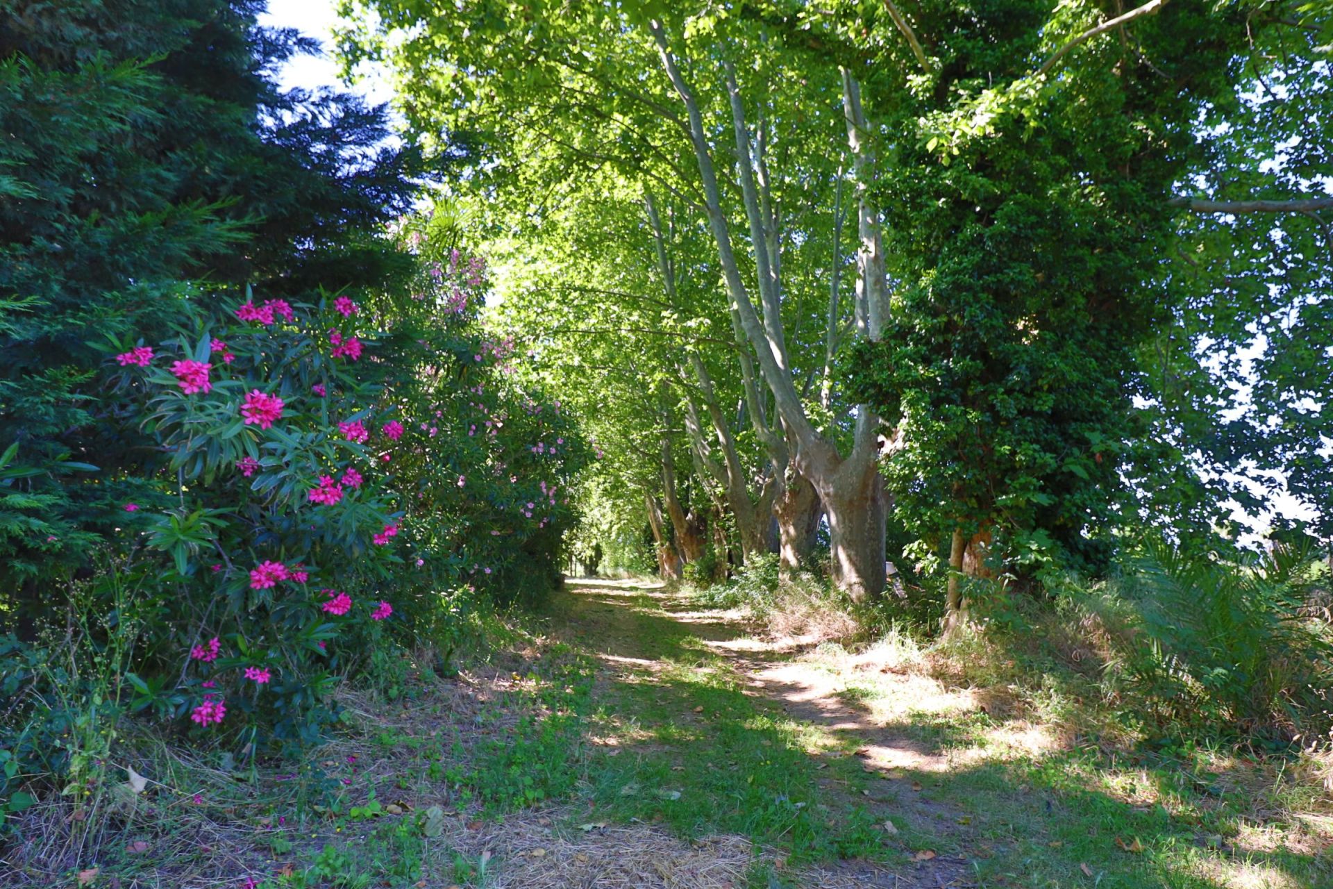 Vente Maison Perpignan 66000 500&nbsp;m²
