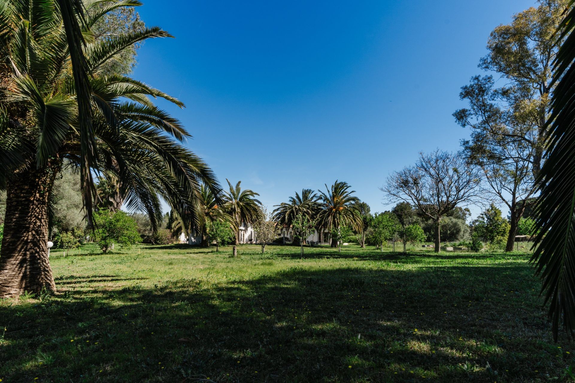 Sale Land Perpignan 66000 2135&nbsp;m²