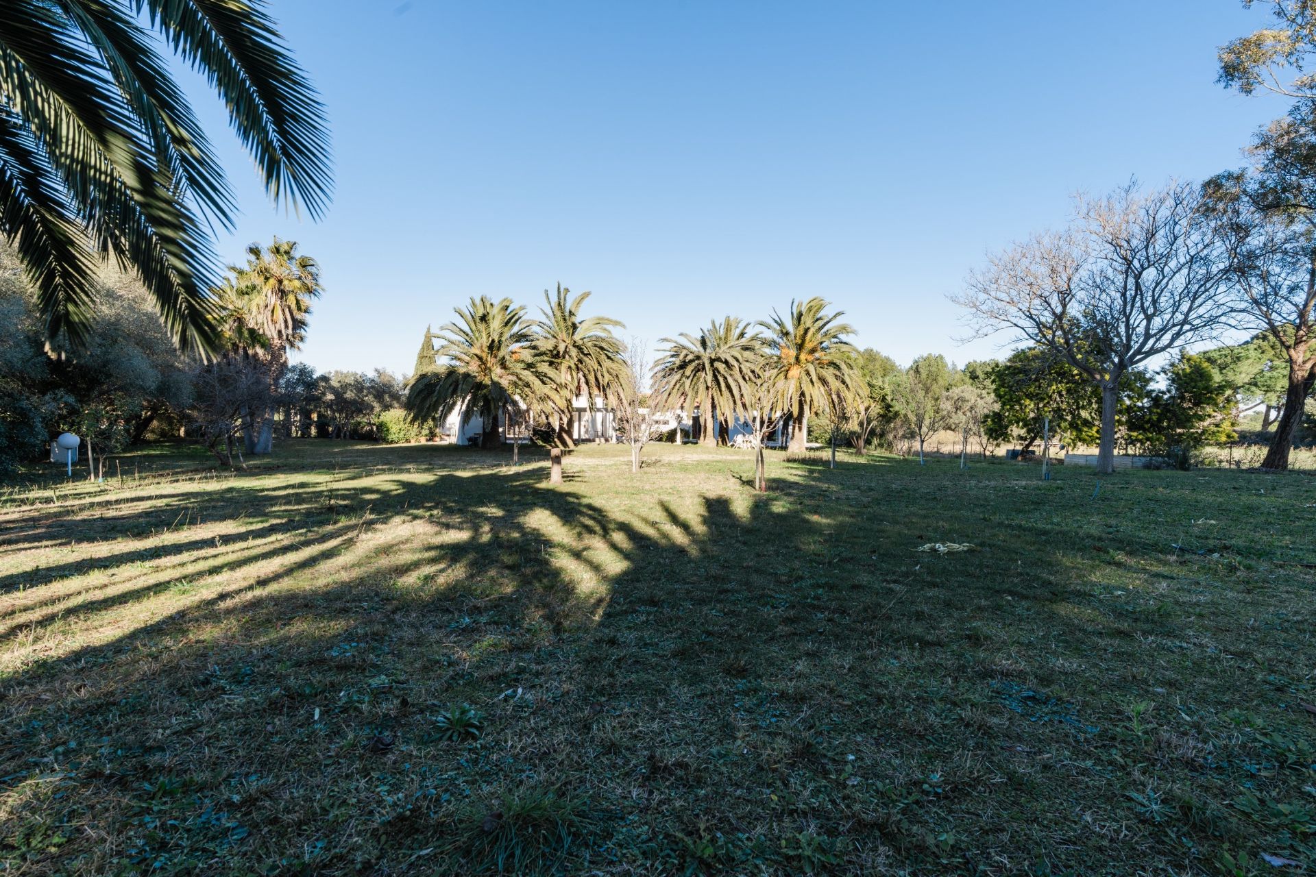 Sale Land Perpignan 66000 2135&nbsp;m²