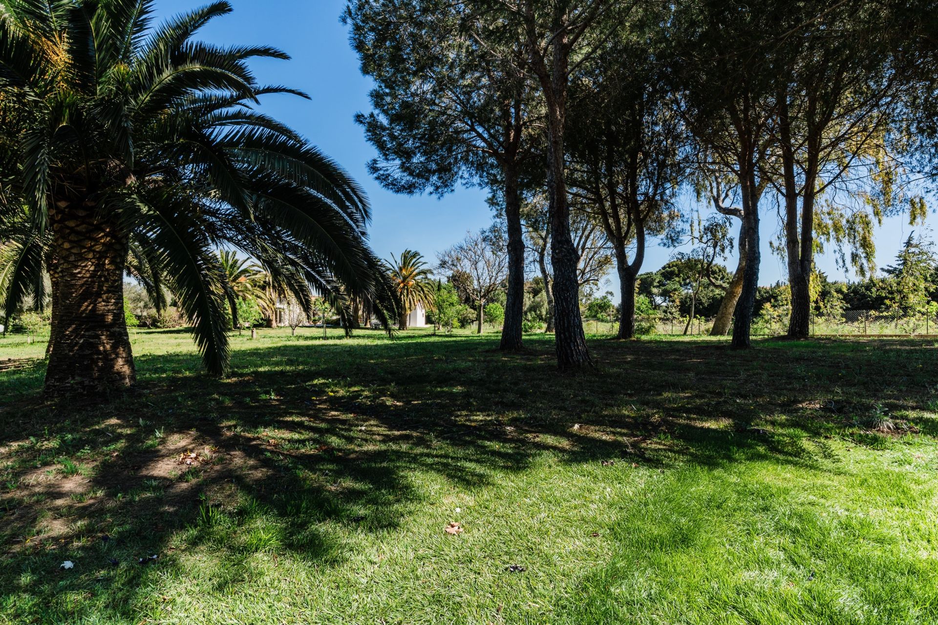 Sale Land Perpignan 66000 2135&nbsp;m²