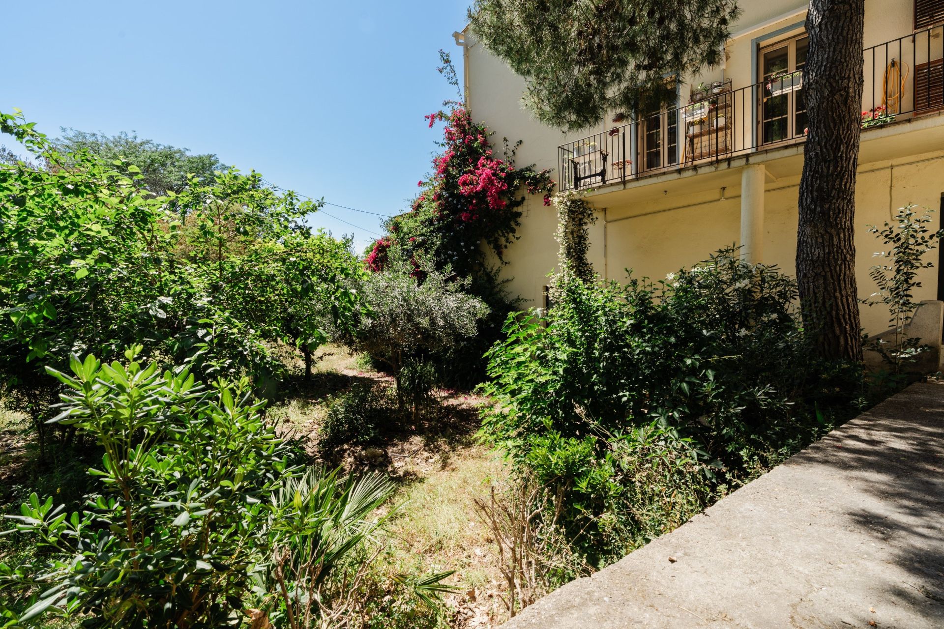 Sale House Argelès-sur-Mer 66700 210&nbsp;m²