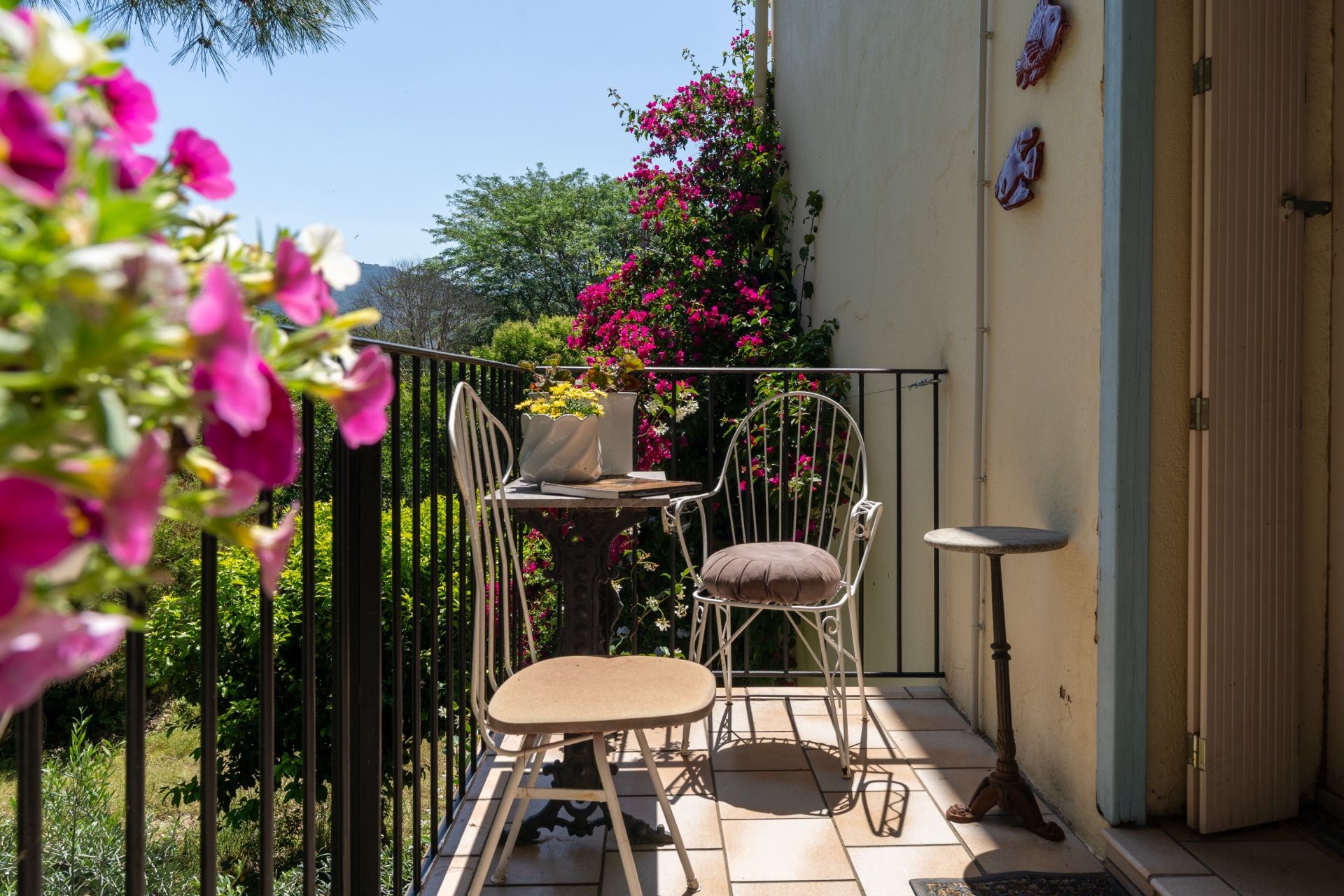 Sale House Argelès-sur-Mer 66700 210&nbsp;m²