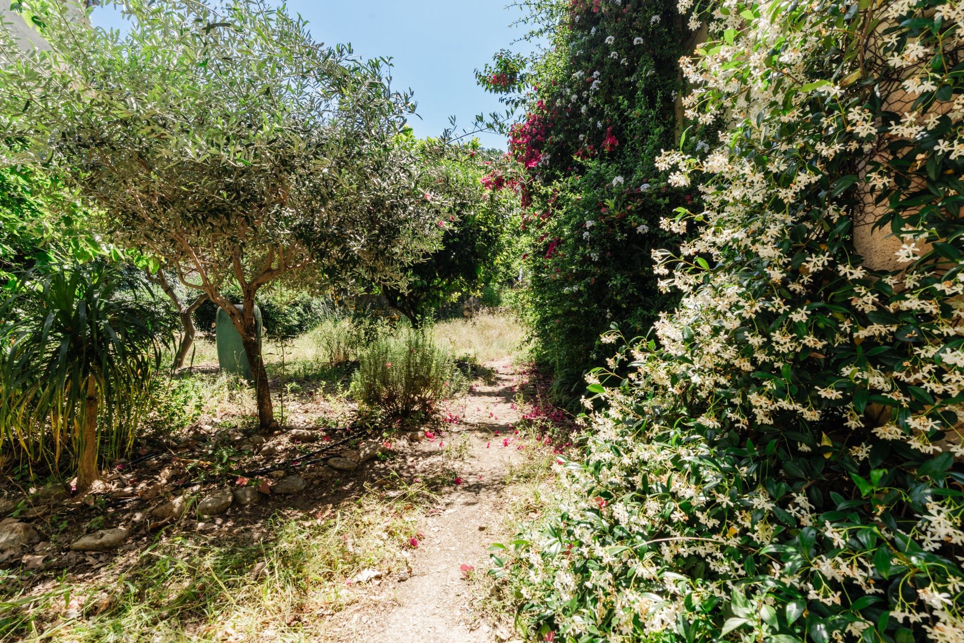 Sale House Argelès-sur-Mer 66700 210&nbsp;m²