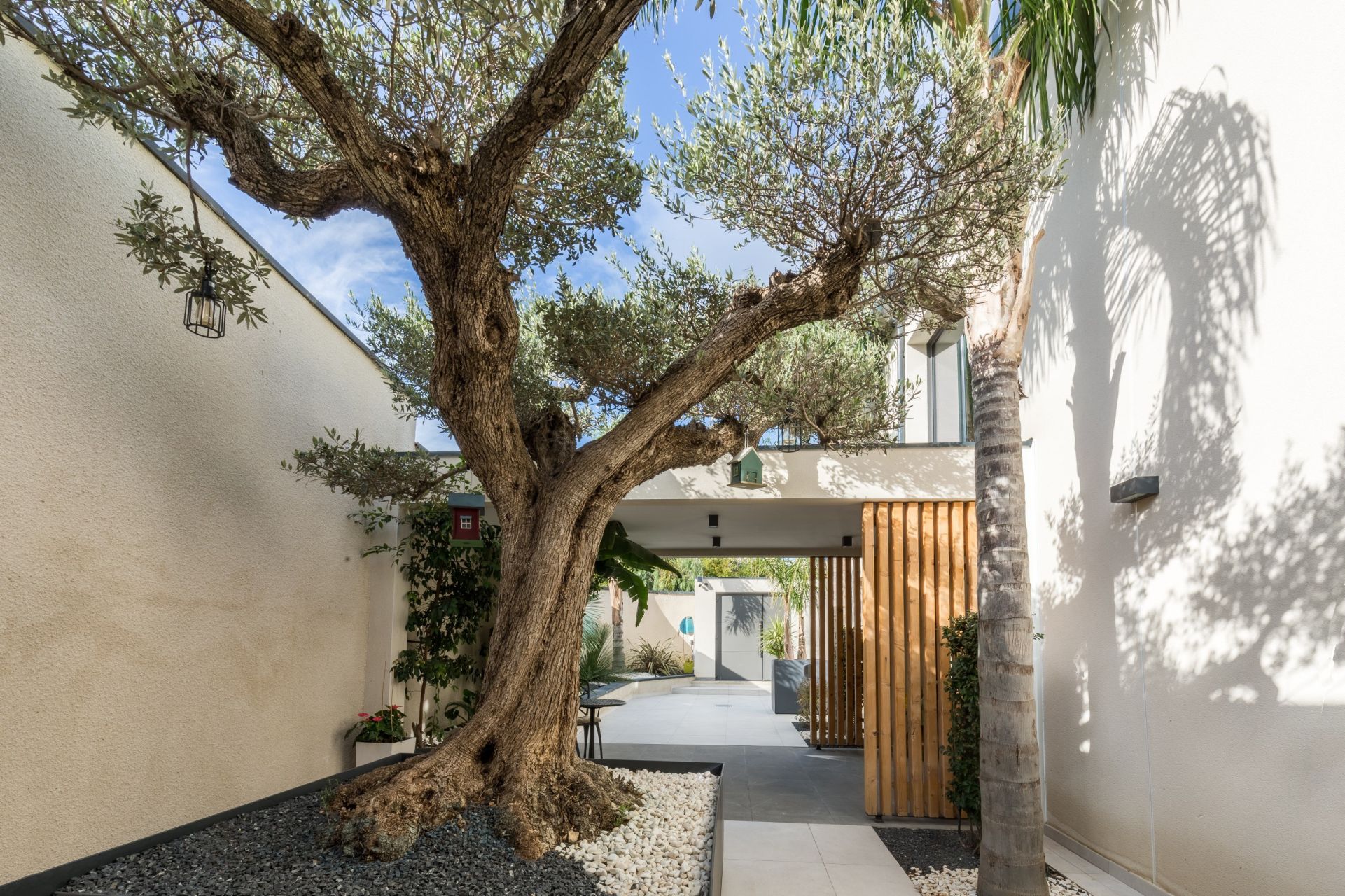Sale House Perpignan 66000 220&nbsp;m²