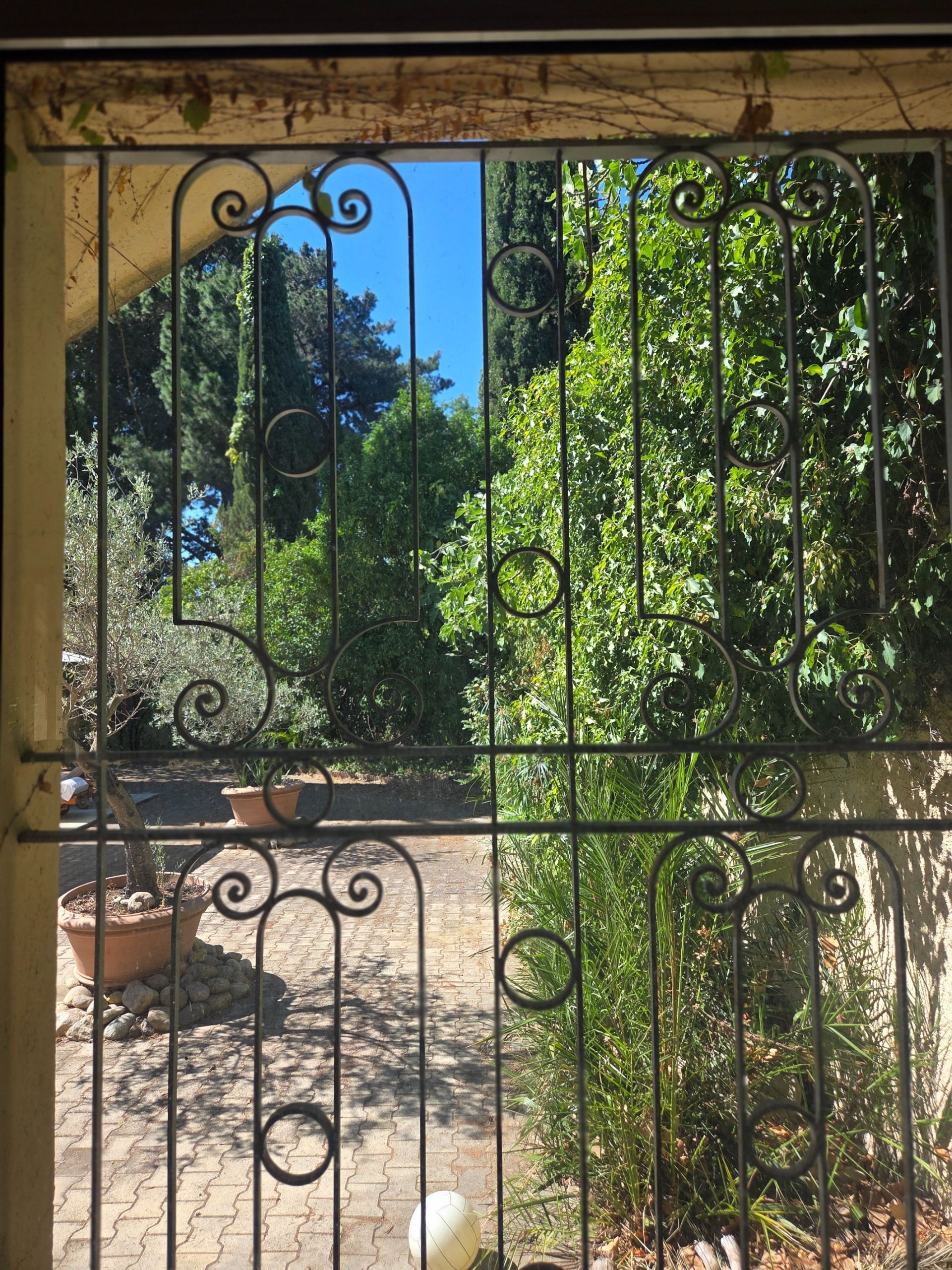 Sale House Perpignan 66000 390&nbsp;m²