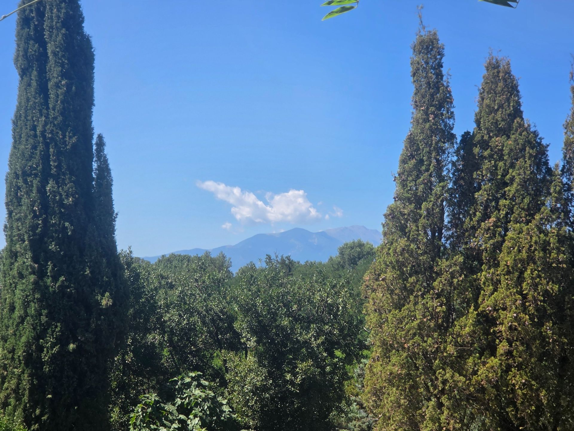 Sale House Perpignan 66000 390&nbsp;m²
