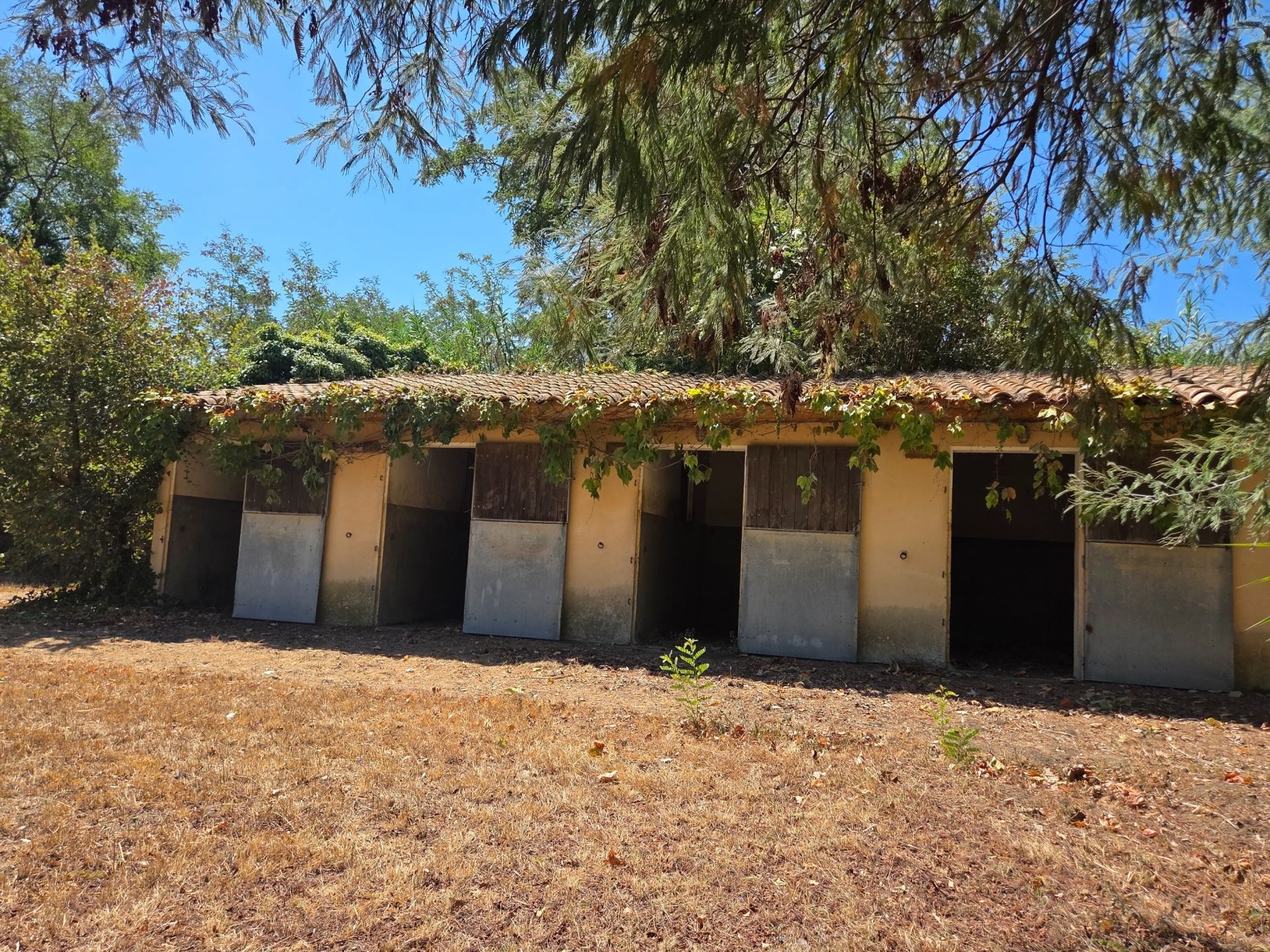 Sale House Perpignan 66000 390&nbsp;m²