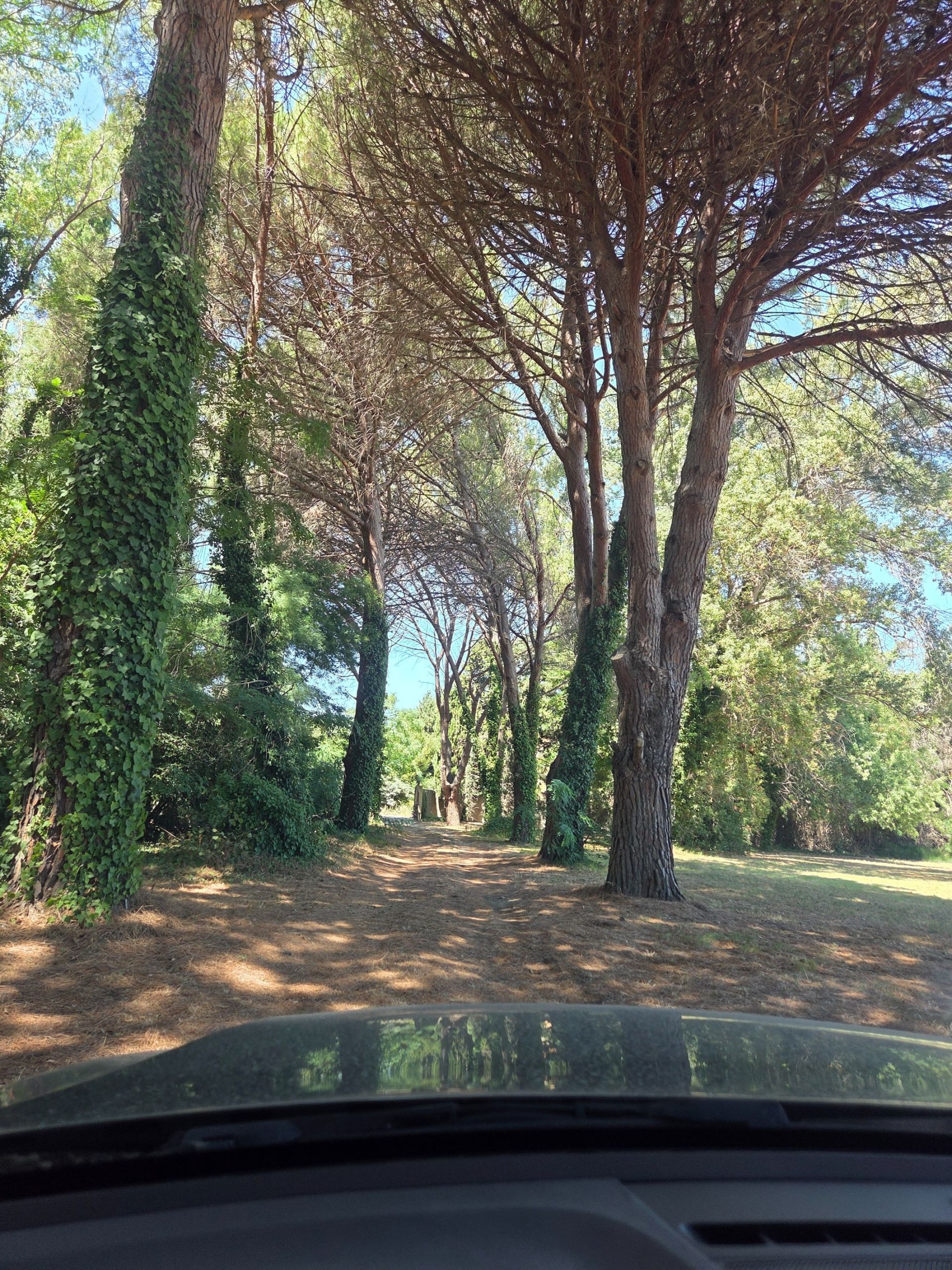 Sale House Perpignan 66000 390&nbsp;m²