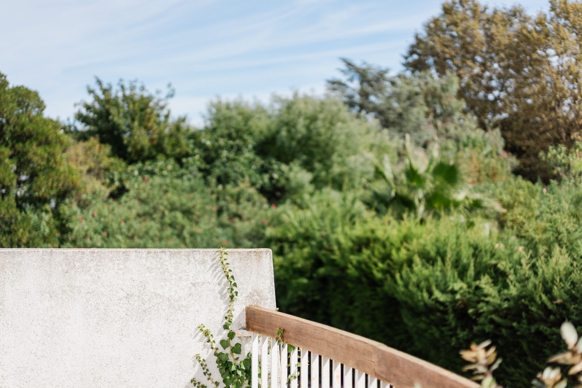 Sale House St Cyprien Plage 66750 235&nbsp;m²