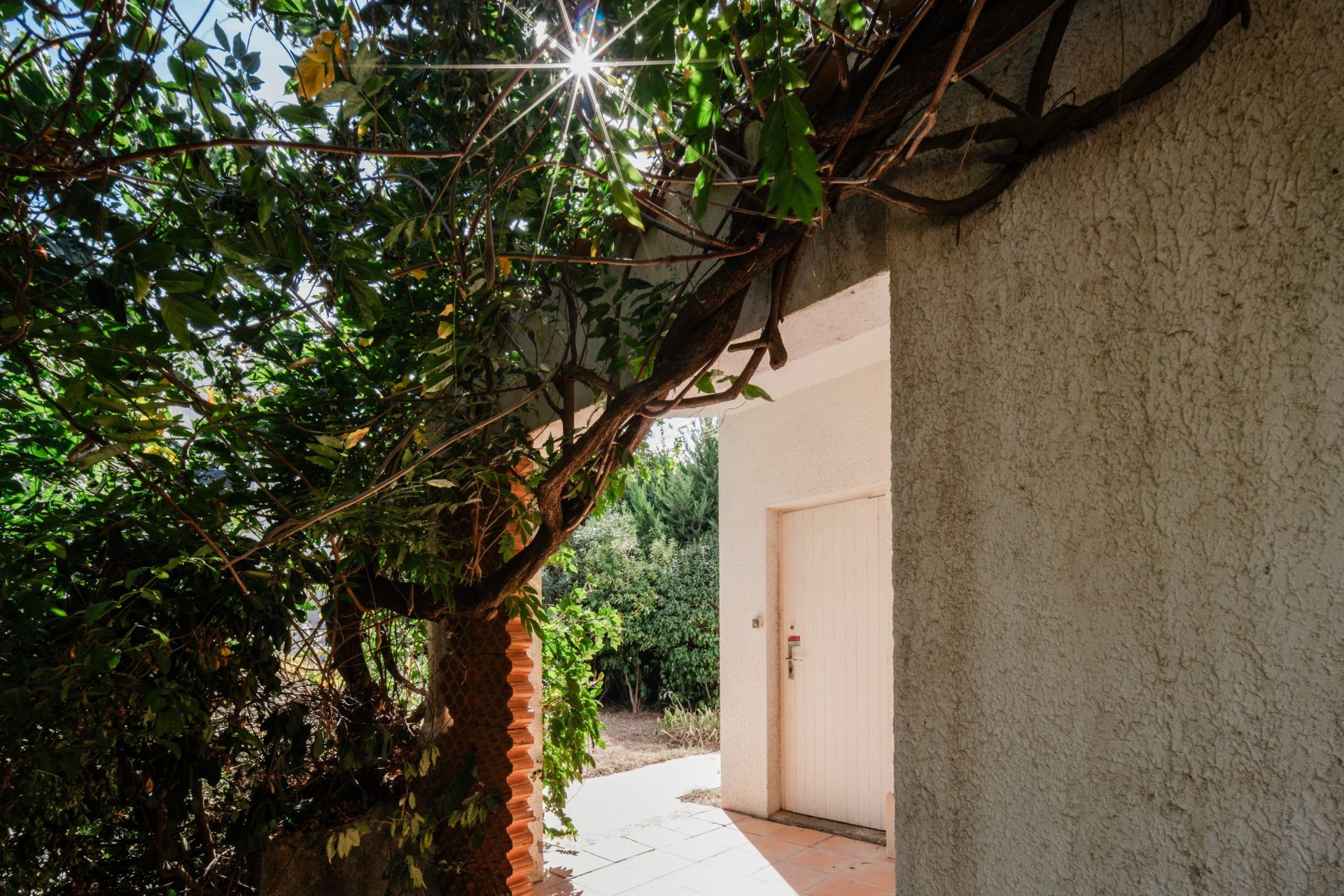Sale House St Cyprien Plage 66750 235&nbsp;m²