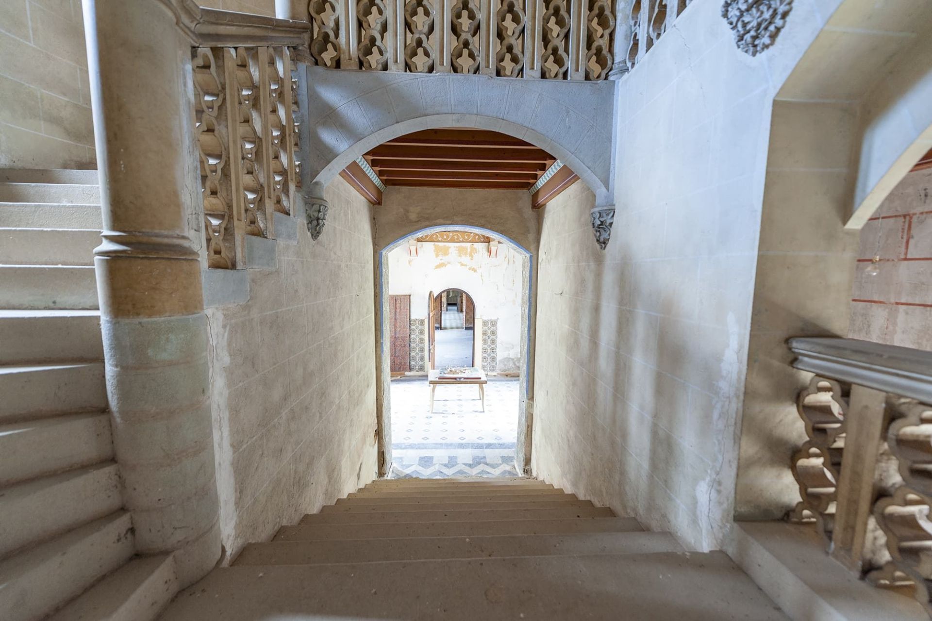 Vente Château Bizanet 11200 7000 m²