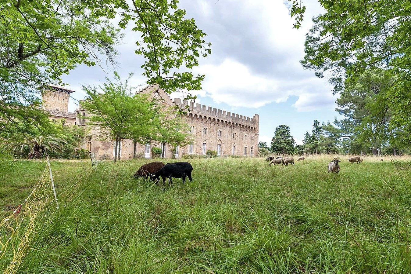 Vente Château Bizanet 11200 7000&nbsp;m²