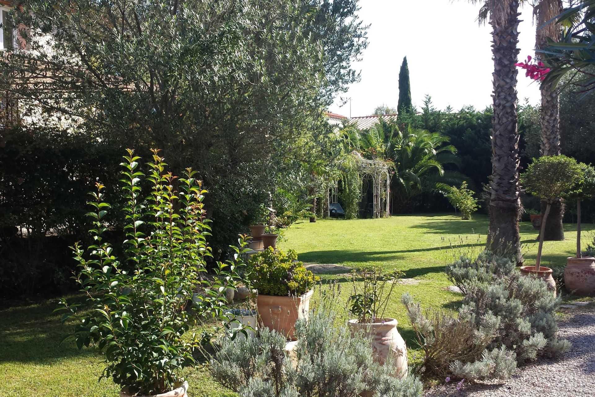Vente Maison Saint-Cyprien 66750 233&nbsp;m²