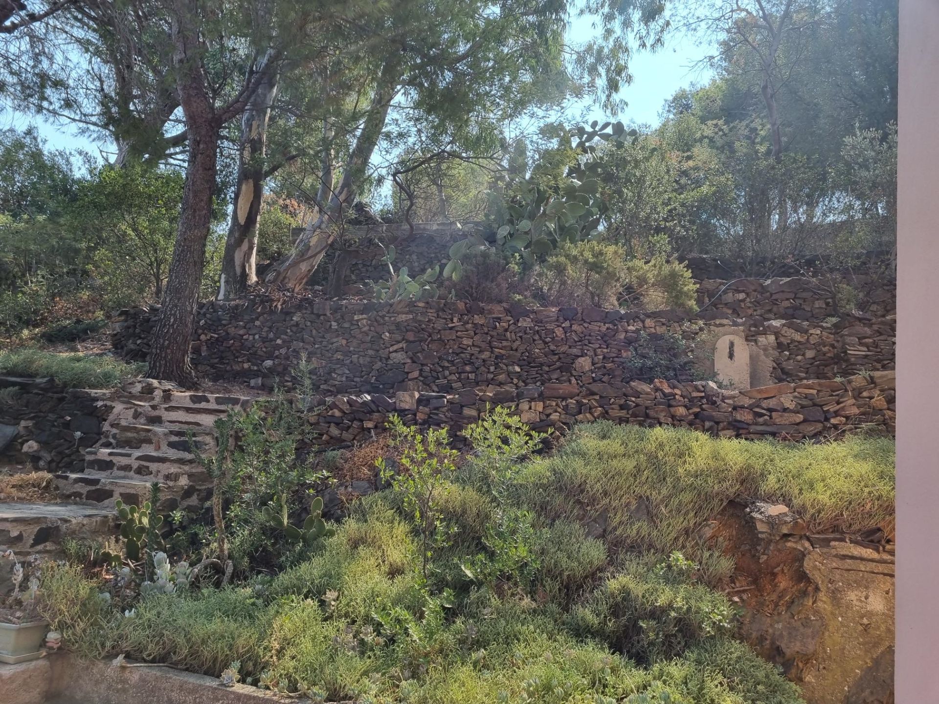 Sale House Cerbère 66290 230 m²