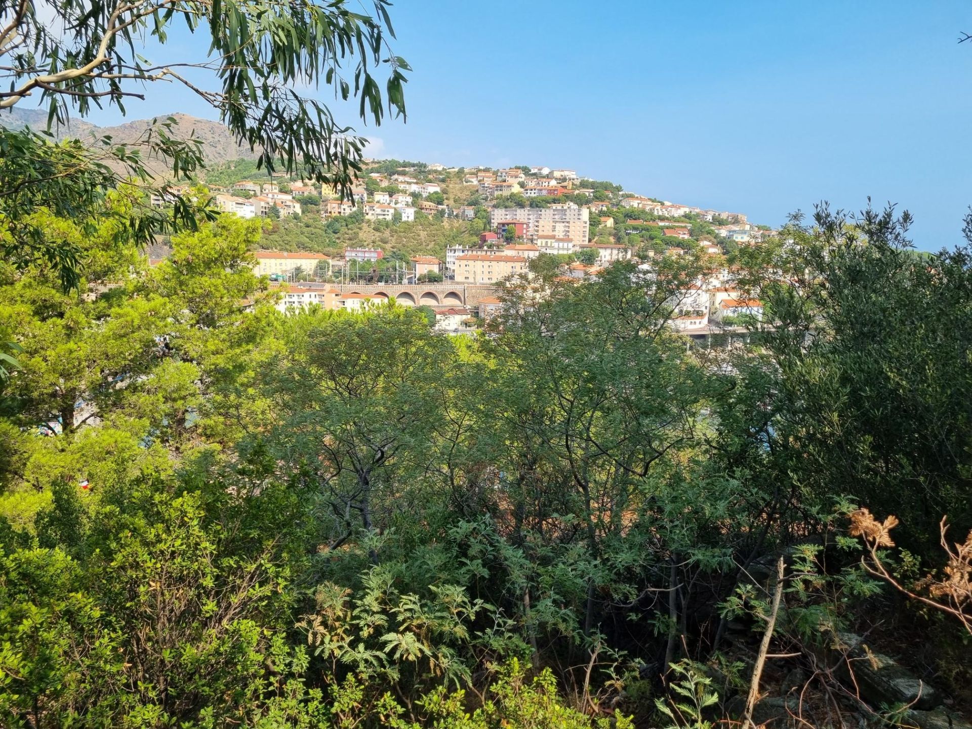 Sale House Cerbère 66290 230 m²