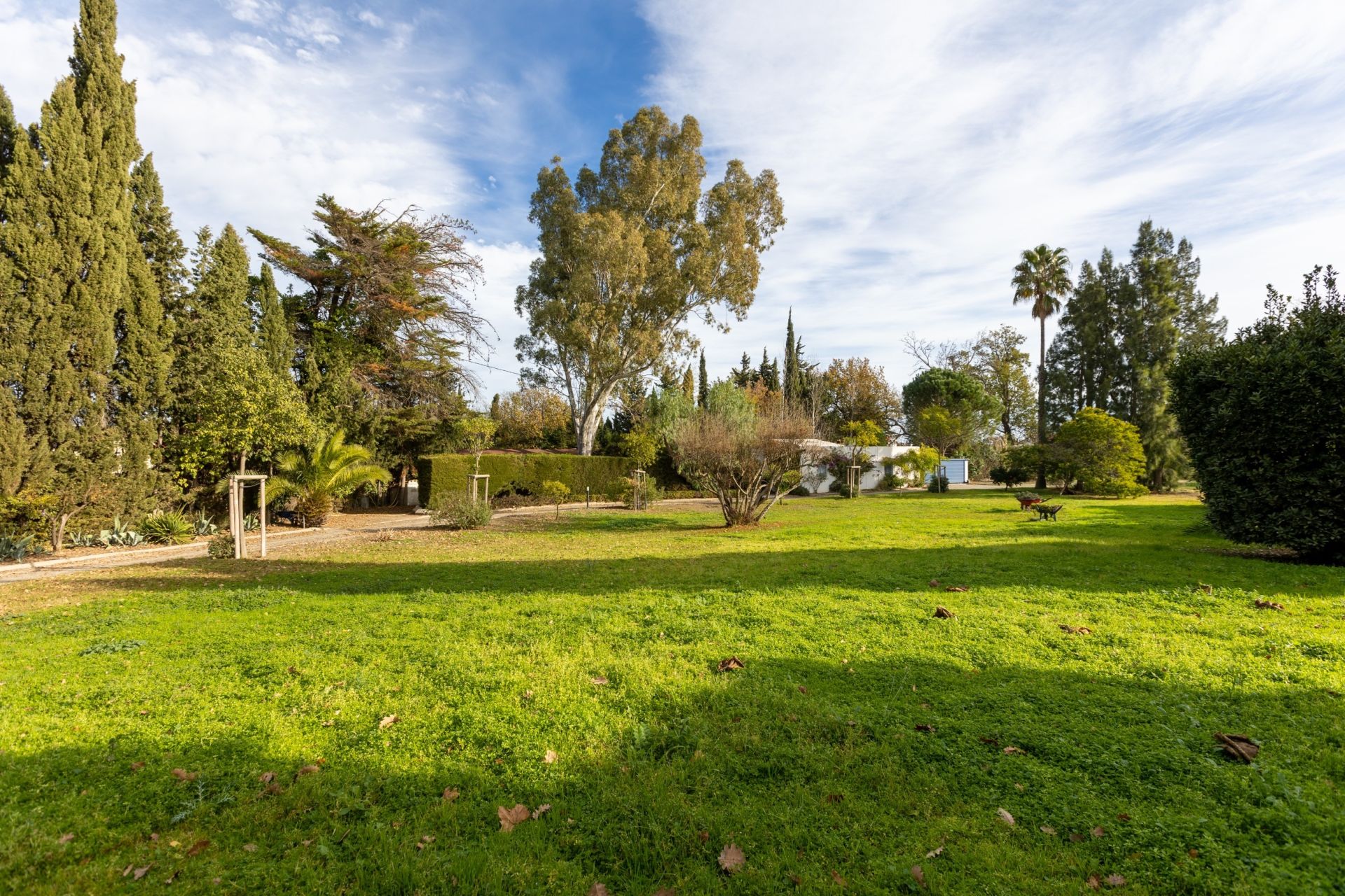 Sale House Perpignan 66000 381 m²