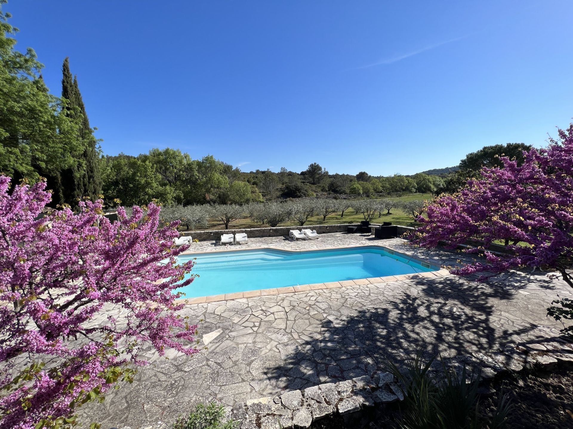Sale Property La Livinière 34210 590&nbsp;m²