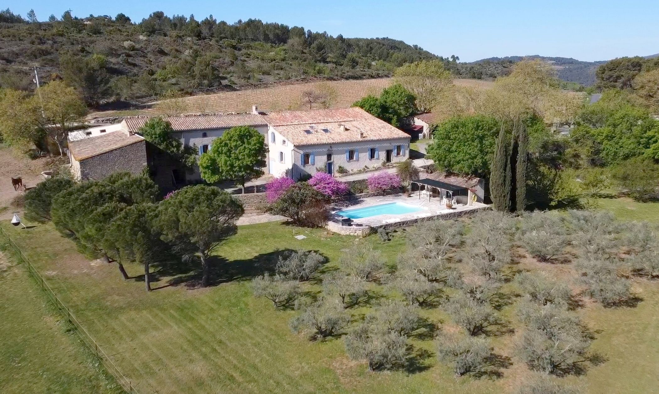 property 14 rooms for sale on LA LIVINIERE (34210) Sale Property La Livinière 34210 590 m²