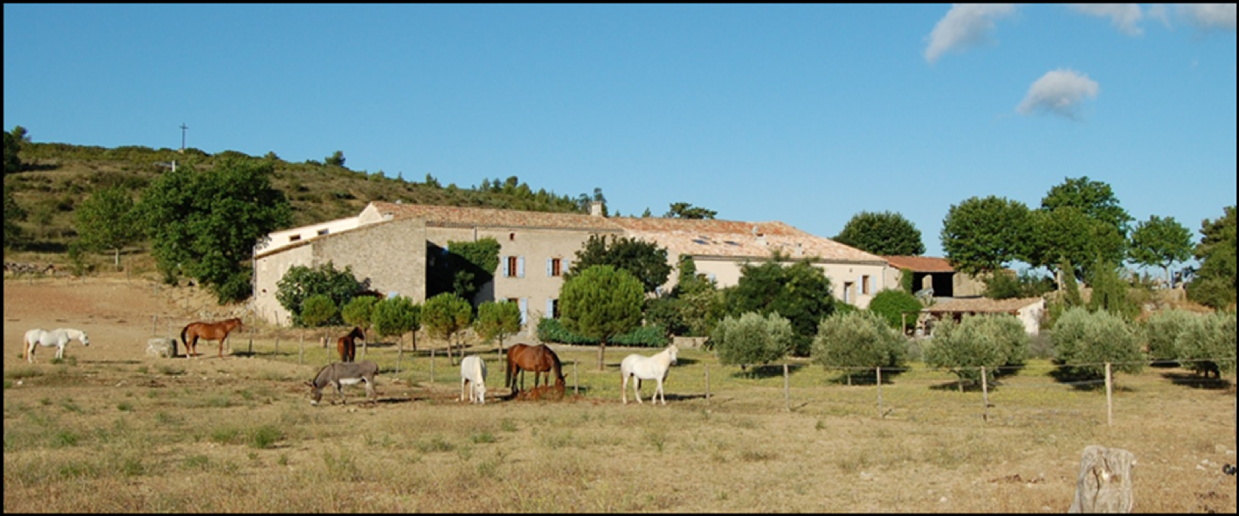 property 14 rooms for sale on LA LIVINIERE (34210) Sale Property La Livinière 34210 590 m²