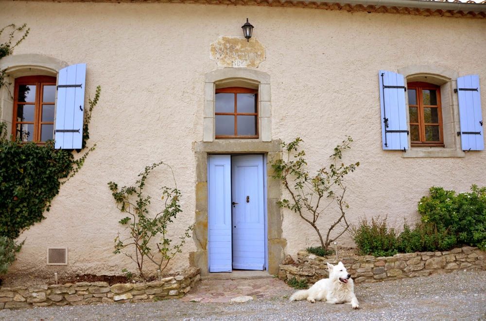 Sale Property La Livinière 34210 590&nbsp;m²