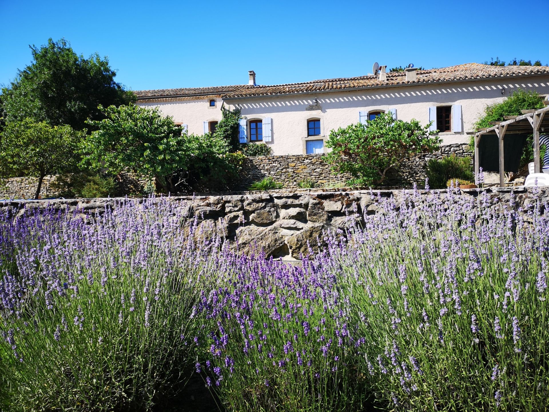 Sale Property La Livinière 34210 590&nbsp;m²