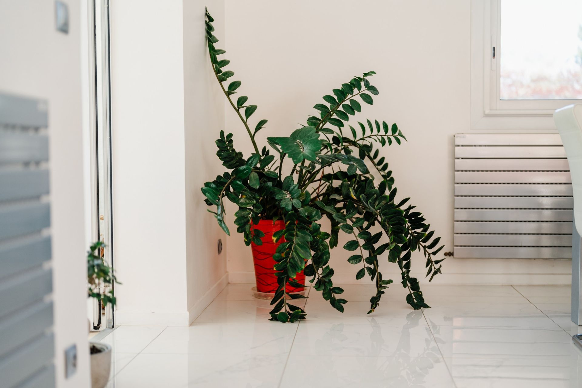 Sale House Perpignan 66000 248 m²