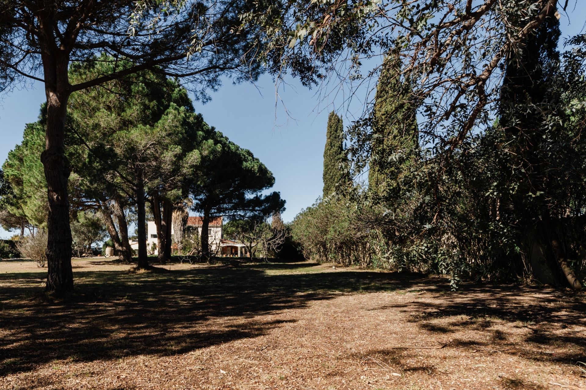 Sale House Perpignan 66000 248 m²