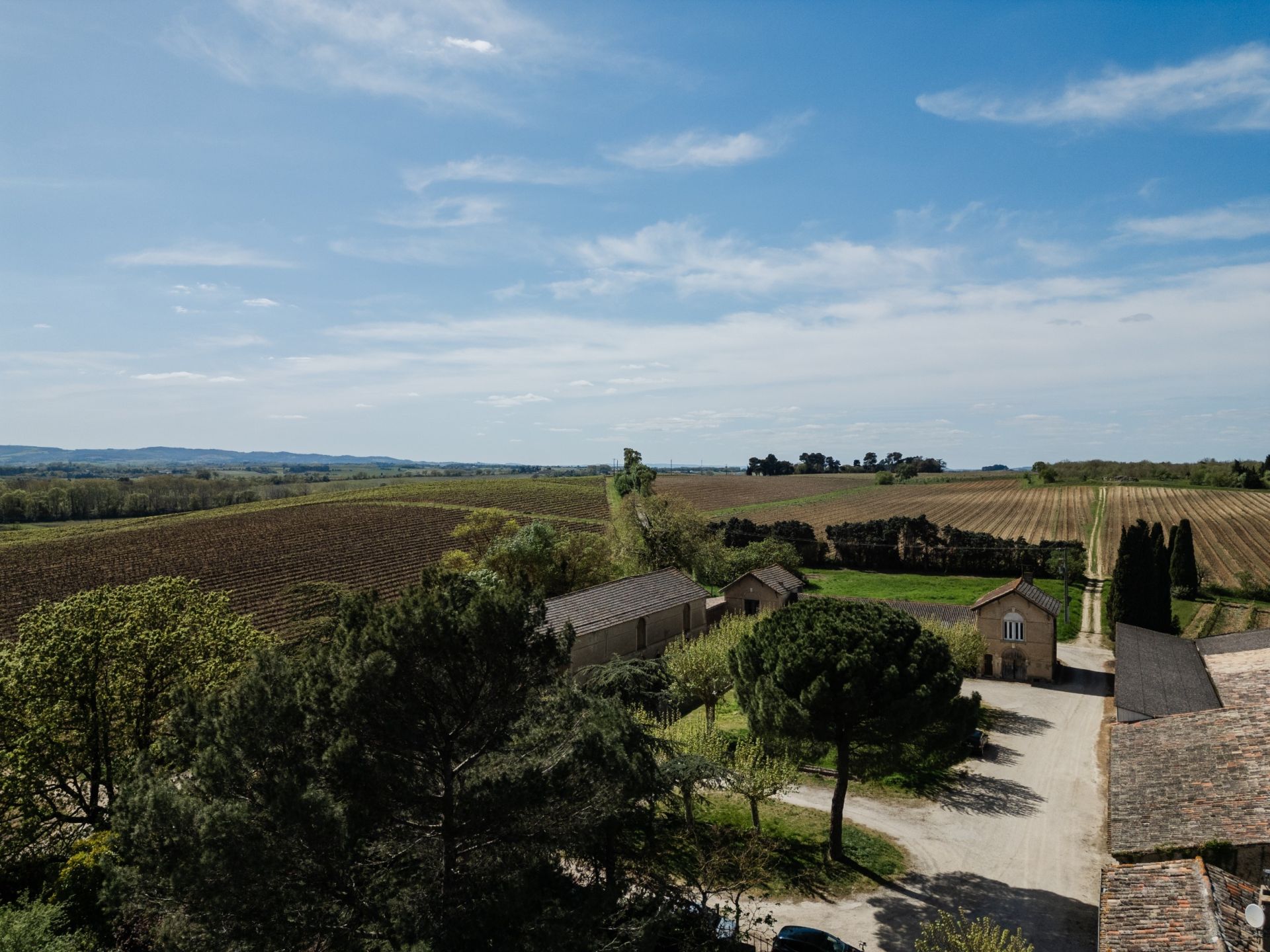 wine estate 30 rooms for sale on CARCASSONNE (11000) Sale Wine estate Carcassonne 11000 2000 m²