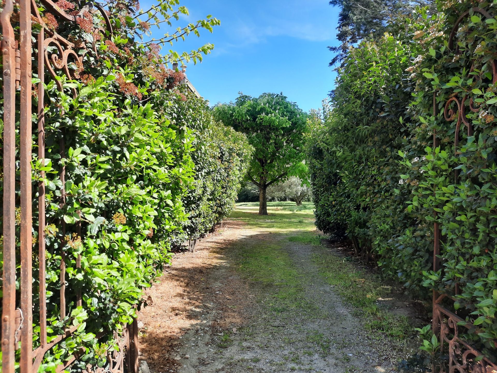 wine estate 30 rooms for sale on CARCASSONNE (11000) Sale Wine estate Carcassonne 11000 2000 m²