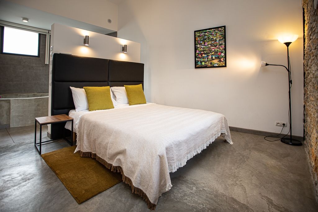 Sale House Carcassonne 11000 387 m²