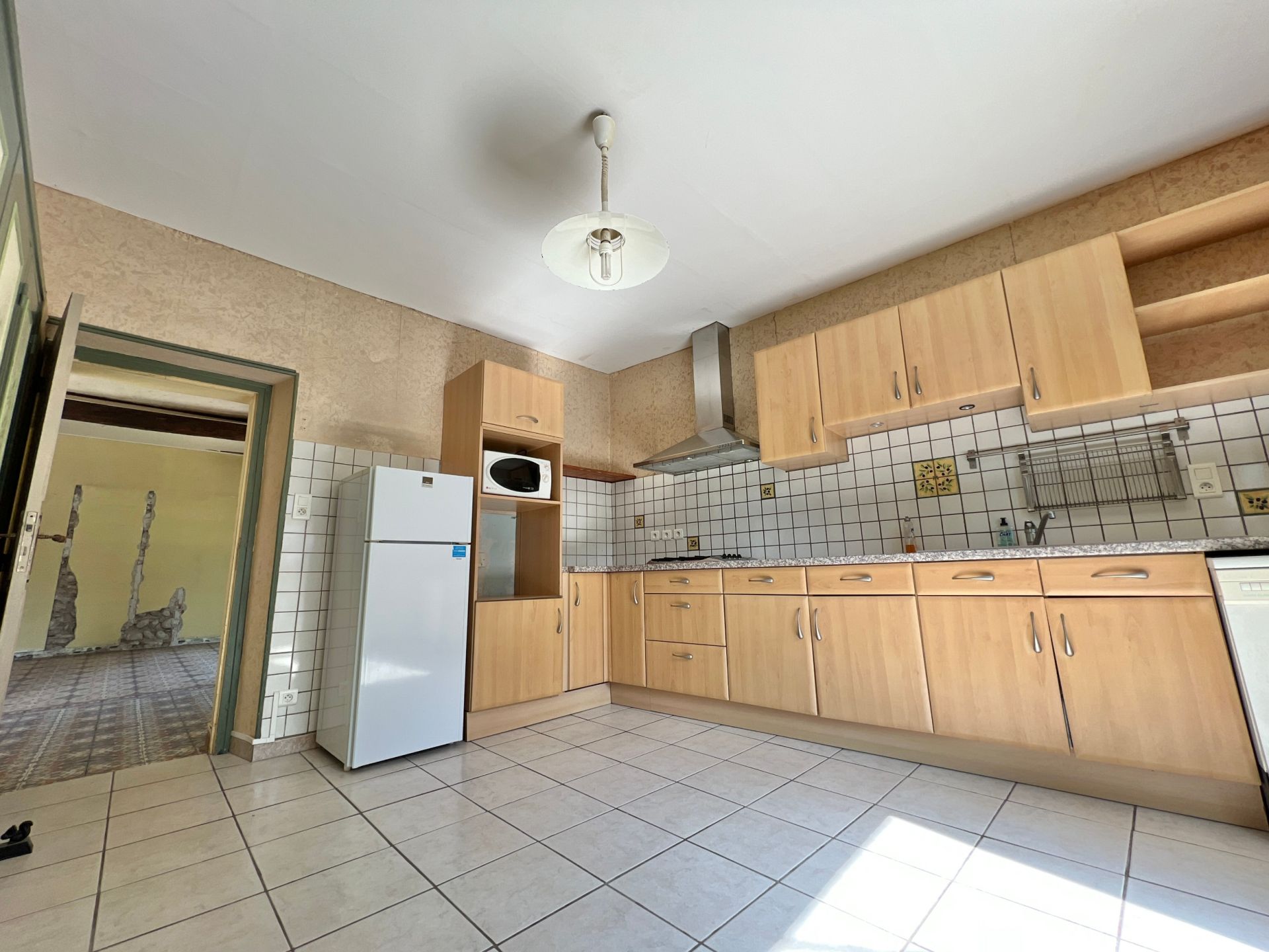 maison 10 pièces en vente sur LE SOLER (66270) Vente Maison Le Soler 66270 360 m²