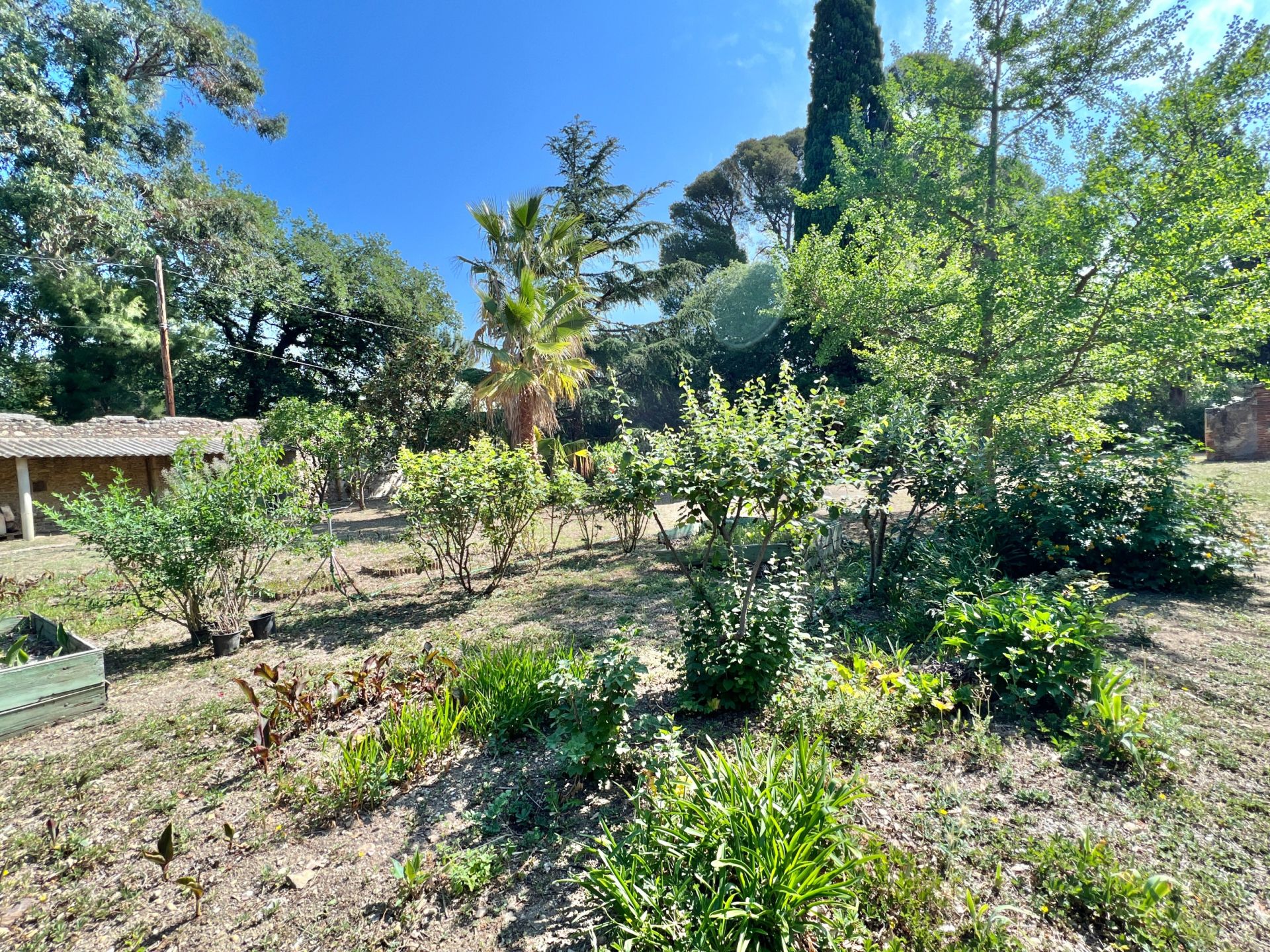 maison 10 pièces en vente sur LE SOLER (66270) Vente Maison Le Soler 66270 360 m²