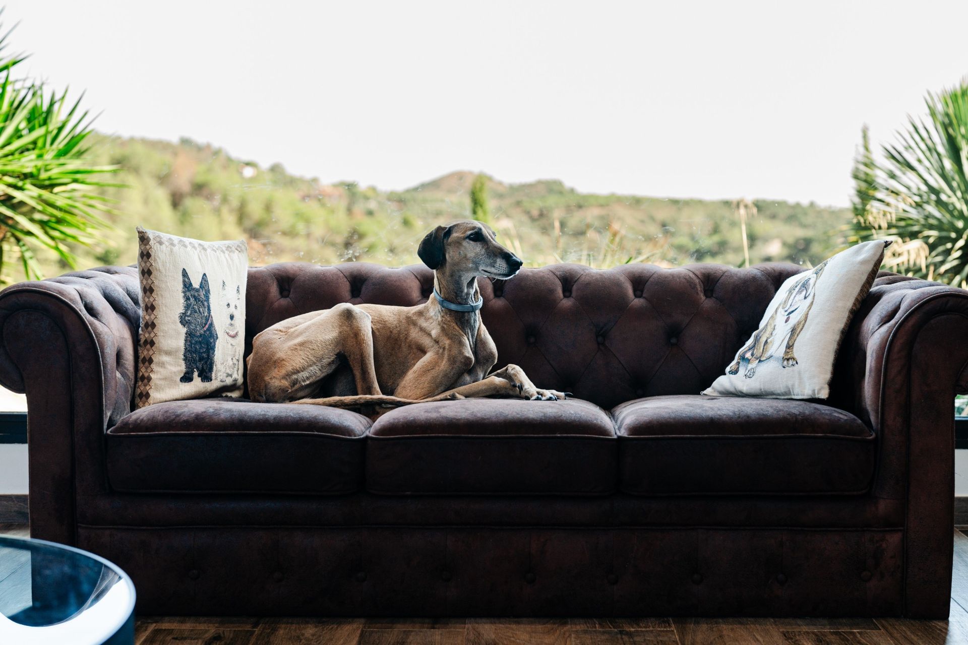 Vente Maison Thuir 66300 200&nbsp;m²