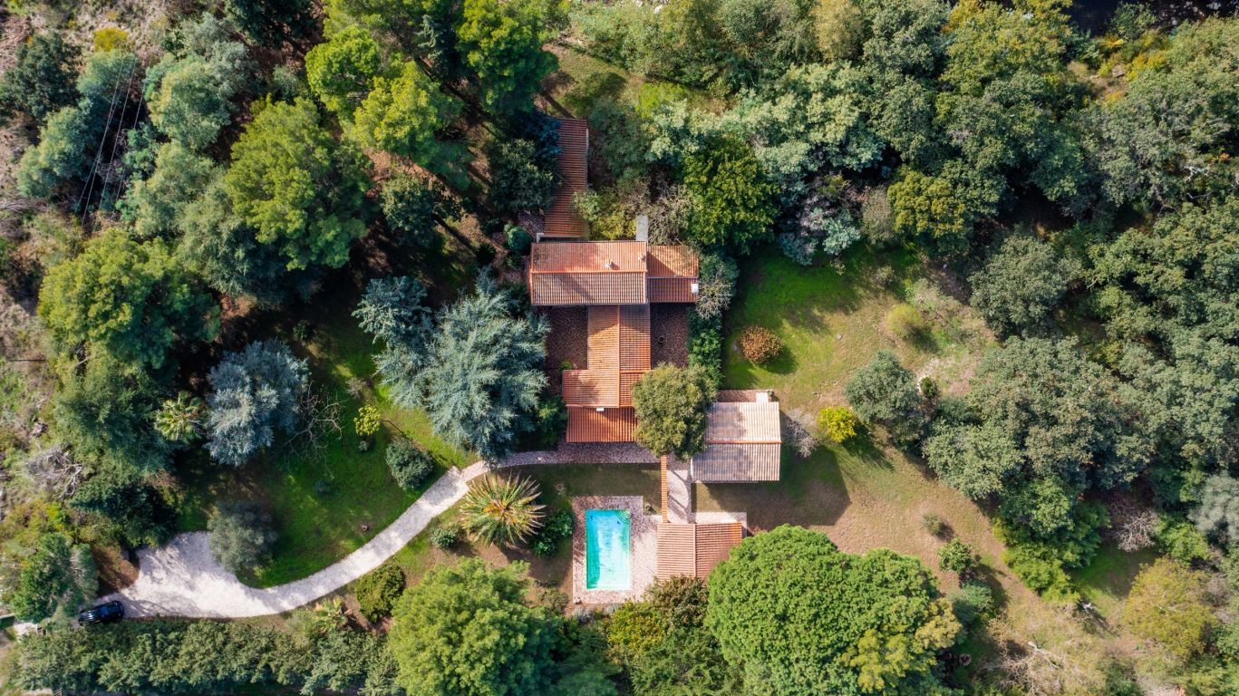 Sale House Sorède 66690 273 m²