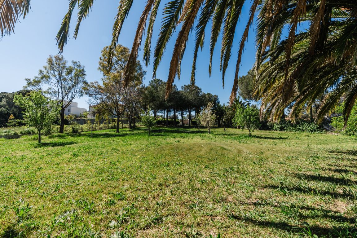 Vente Terrain Perpignan 66000 2135&nbsp;m²