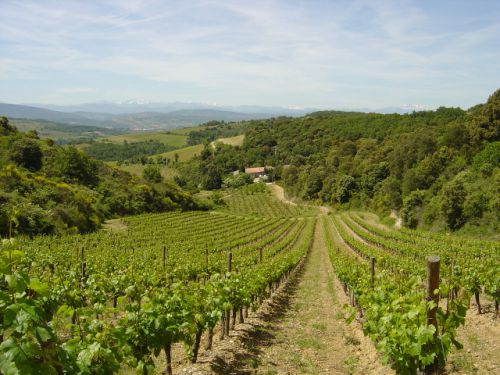 L’Aude, le pays cathare et son canal du midi